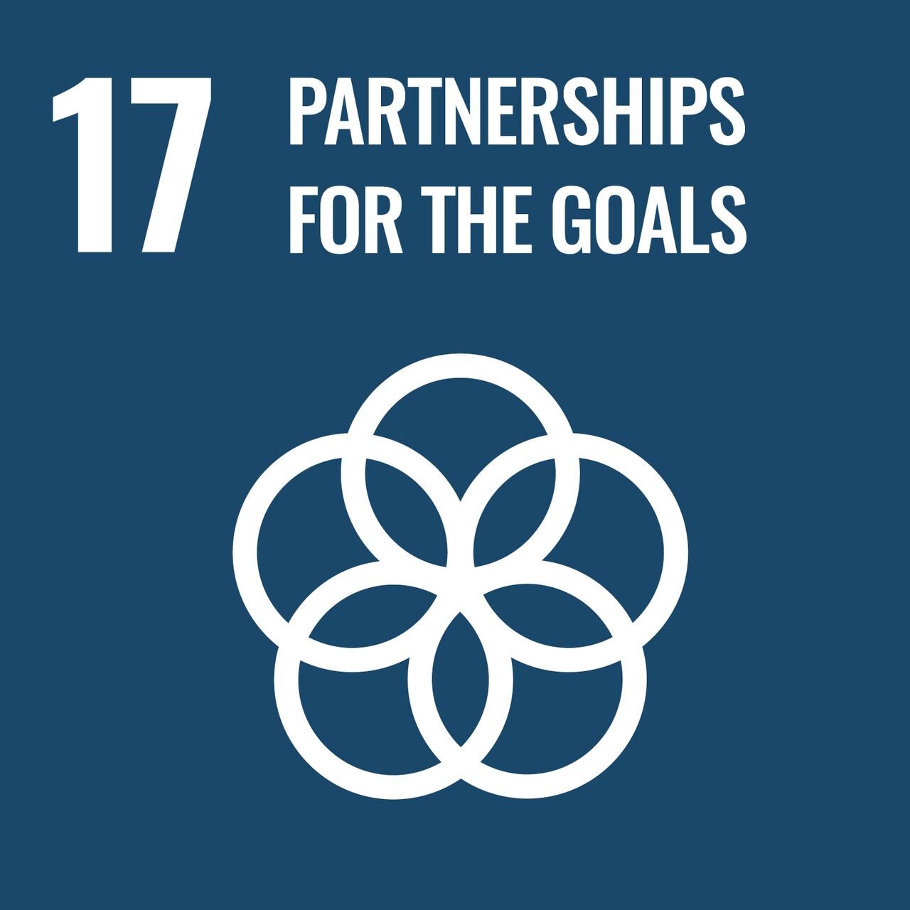 partnerships for the goals initiative