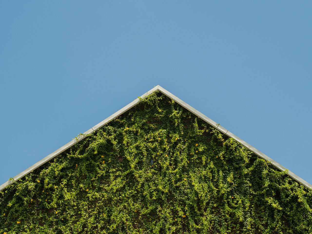 Green wall
