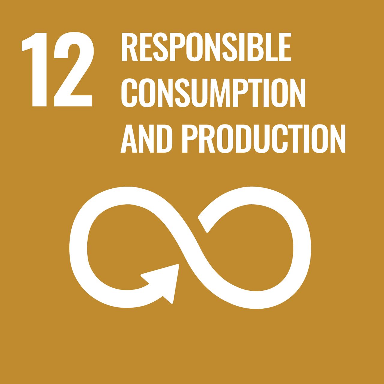 responsible consumption and production initiative